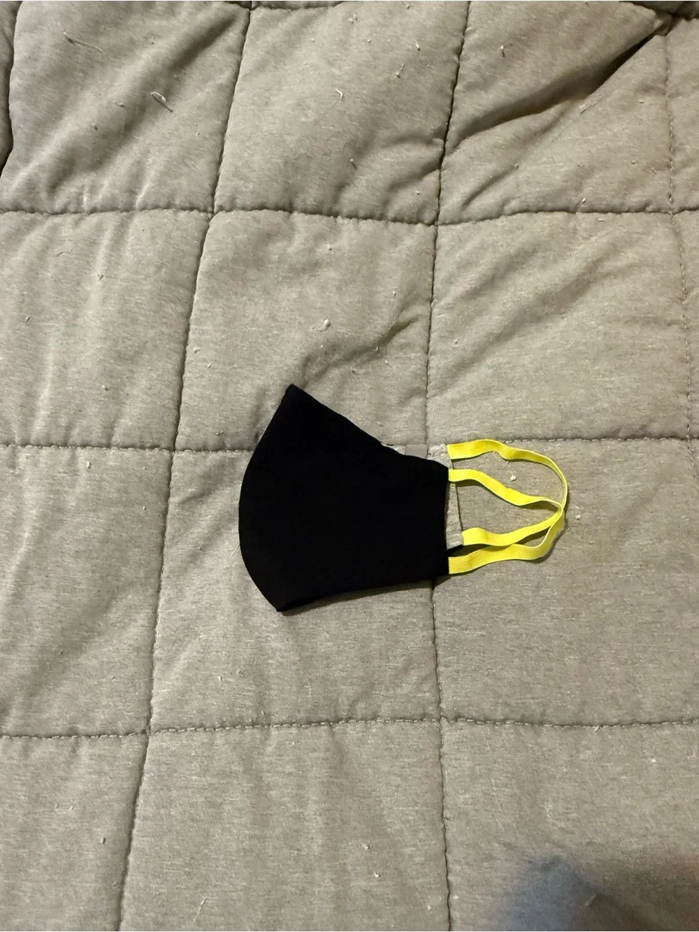 Figs Face Mask